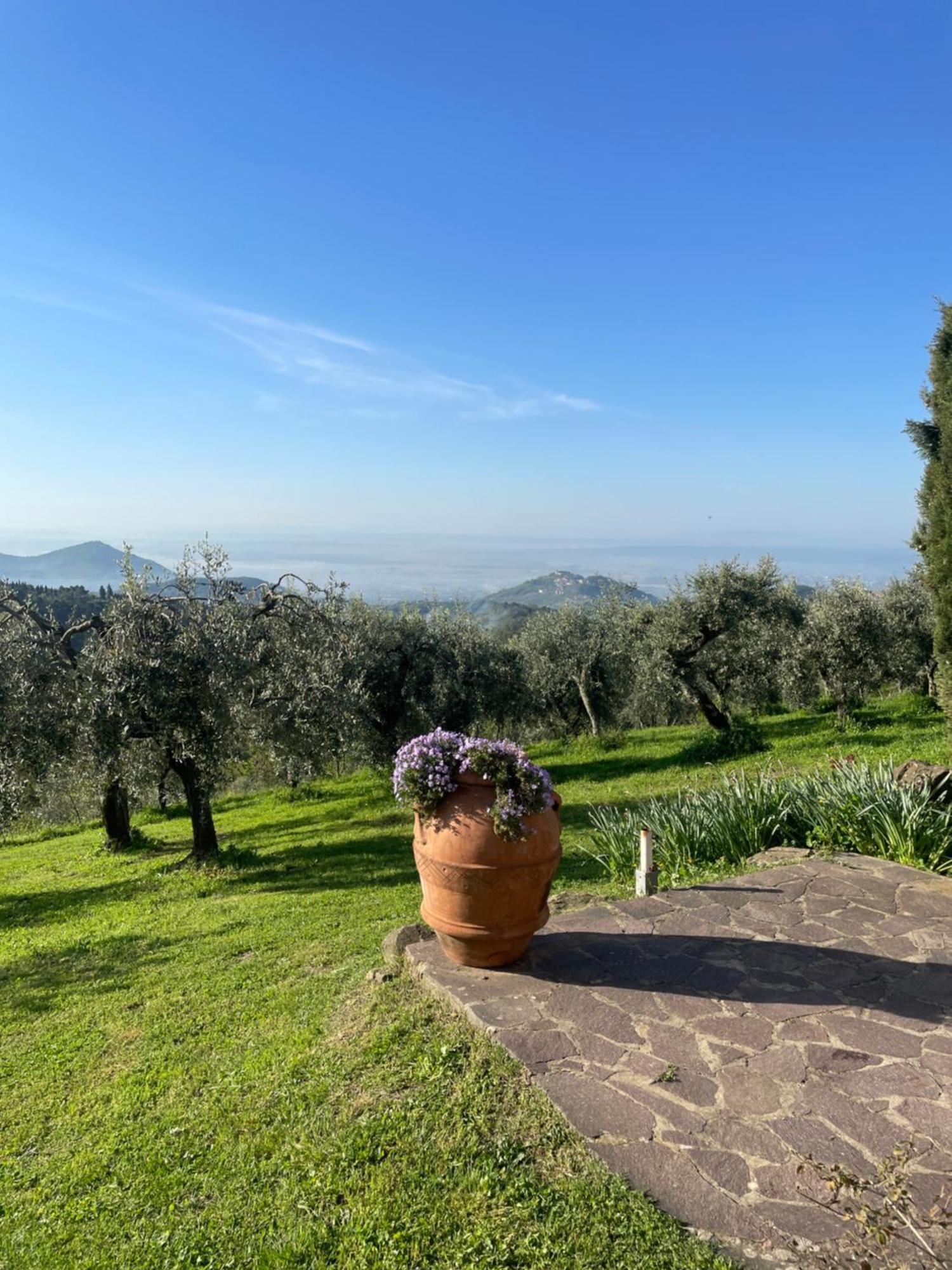 Podere Il Poggio Avaglio Eksteriør billede