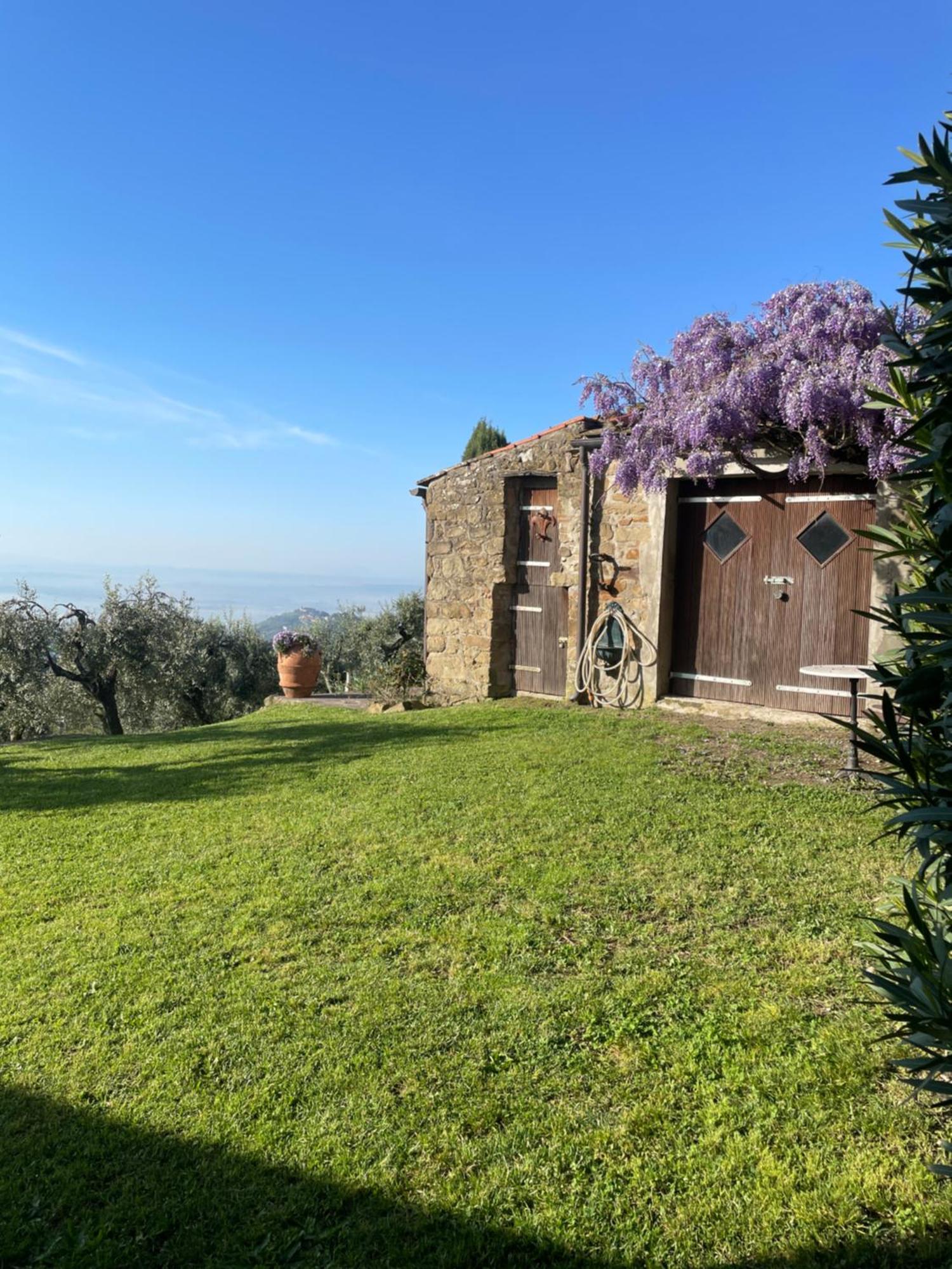 Podere Il Poggio Avaglio Eksteriør billede